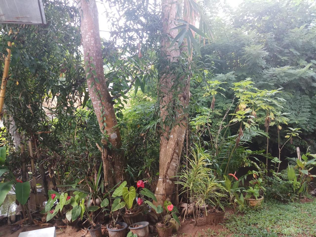 Lakvilla Hikkaduwa Exterior photo