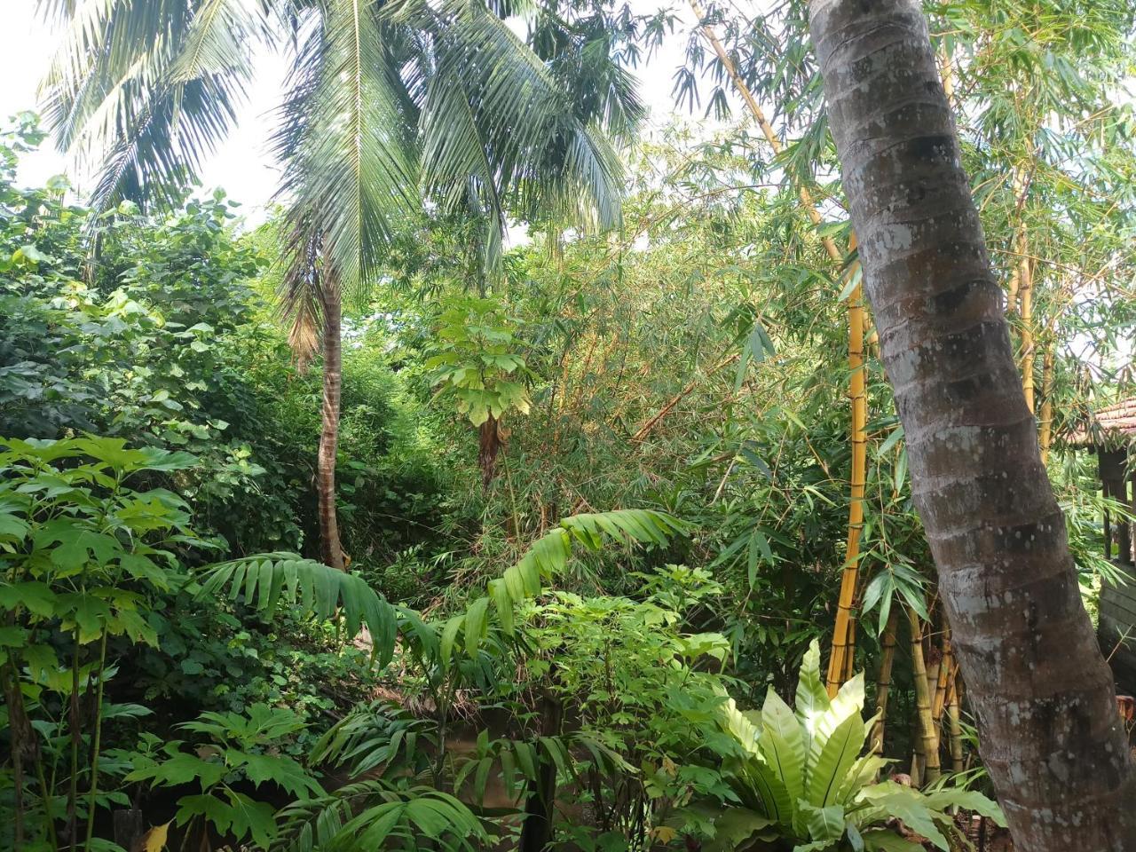 Lakvilla Hikkaduwa Exterior photo